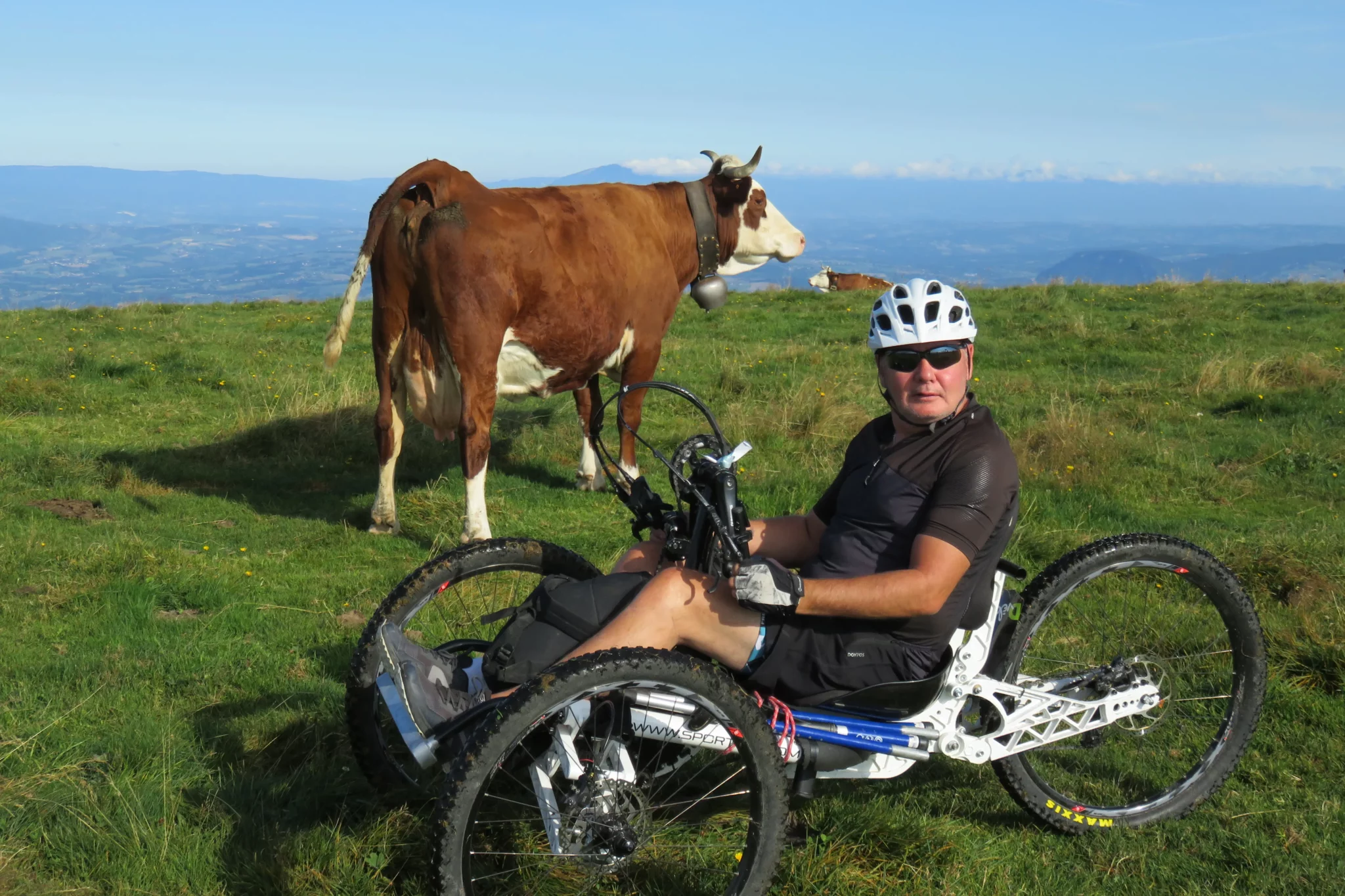 Un participant en fauteuil tout terrain devant une vache sur le plateau du Semnoz pendant le R'Handi Bike Festival