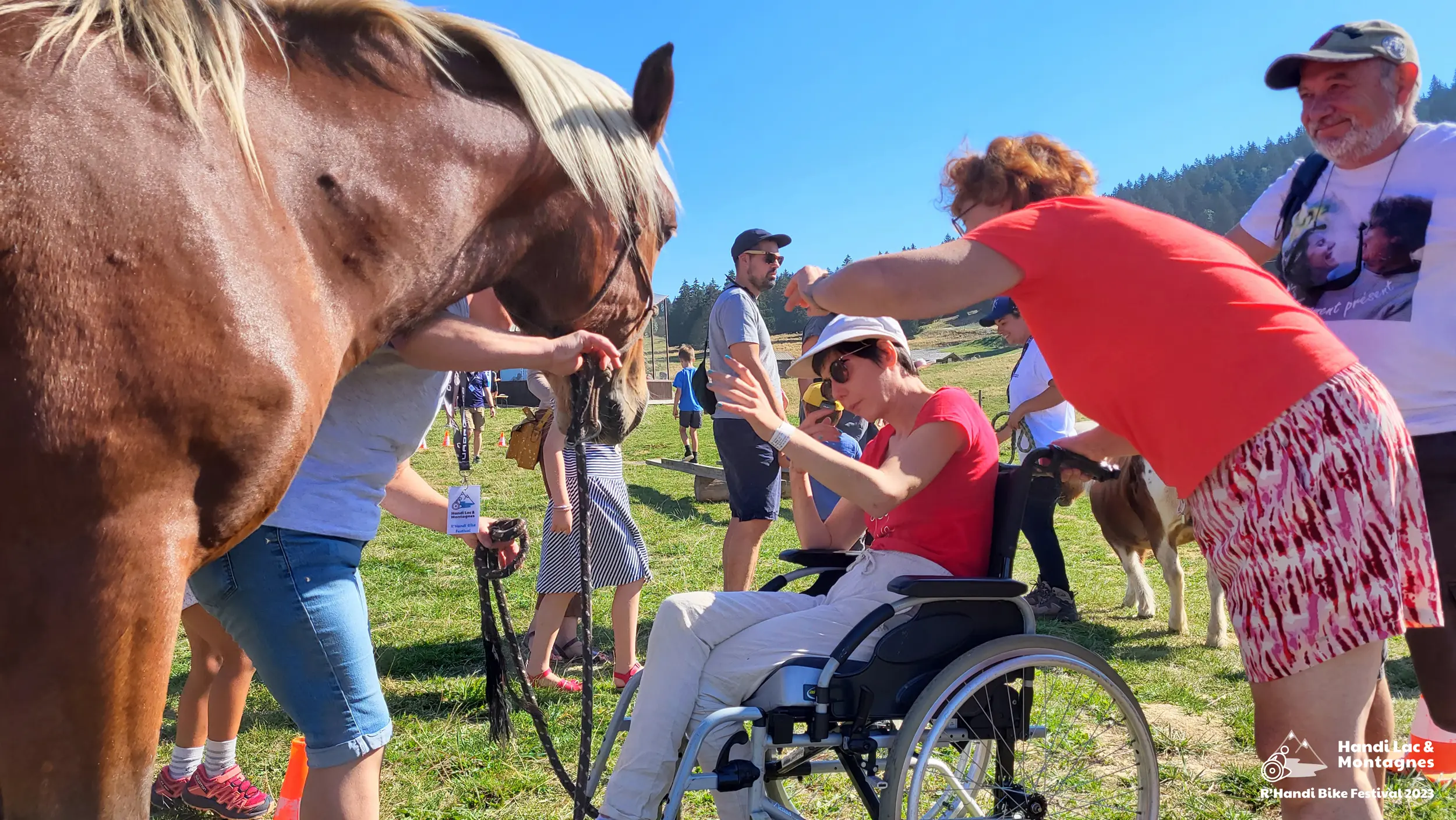 Une bénévole de Poils de Bonheur fait carresser son cheval à une personne à mobilité réduite