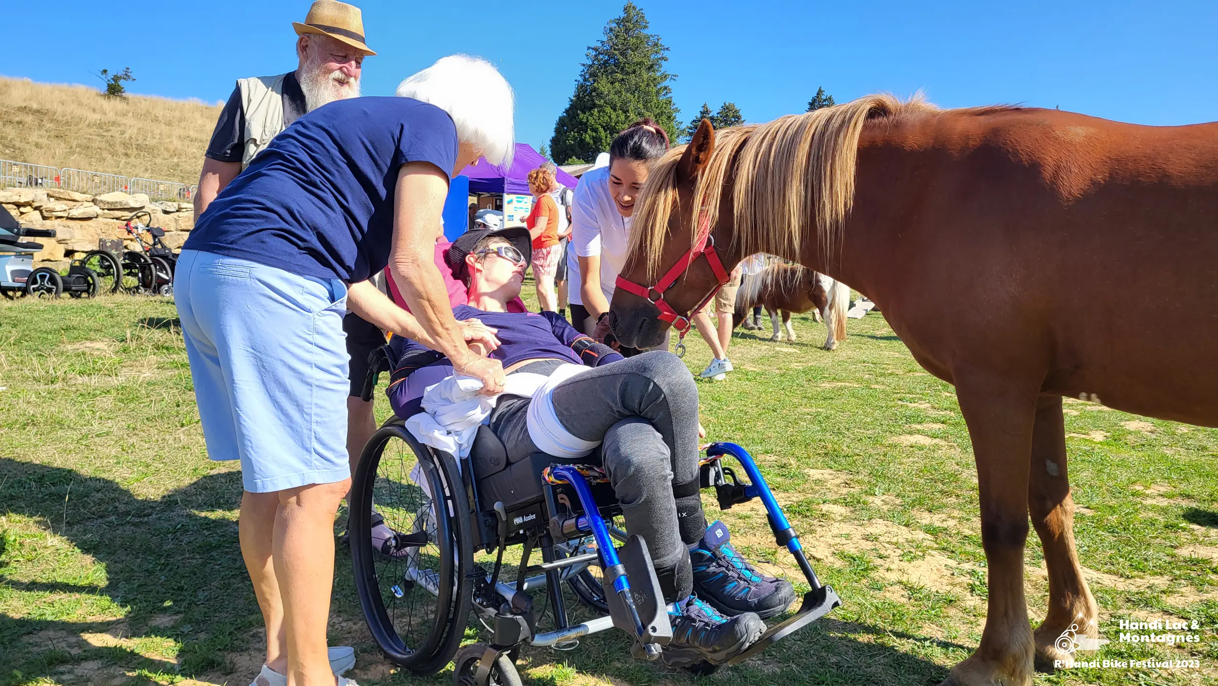 Une bénévole de Poils de Bonheur fait carresser son cheval à une personne à mobilité réduite