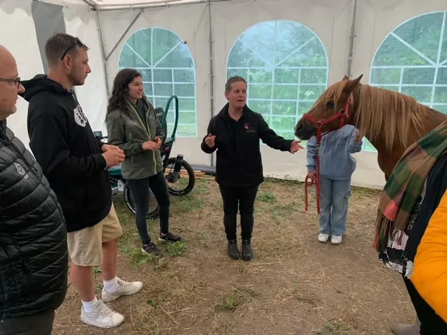 Présentation du poney qui va être attelé au cariane