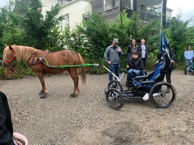 Le cariane est attelé au poney