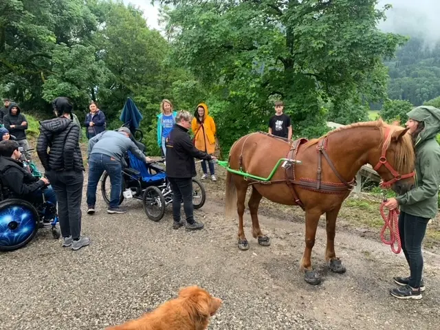 Le cariane est attelé au poney