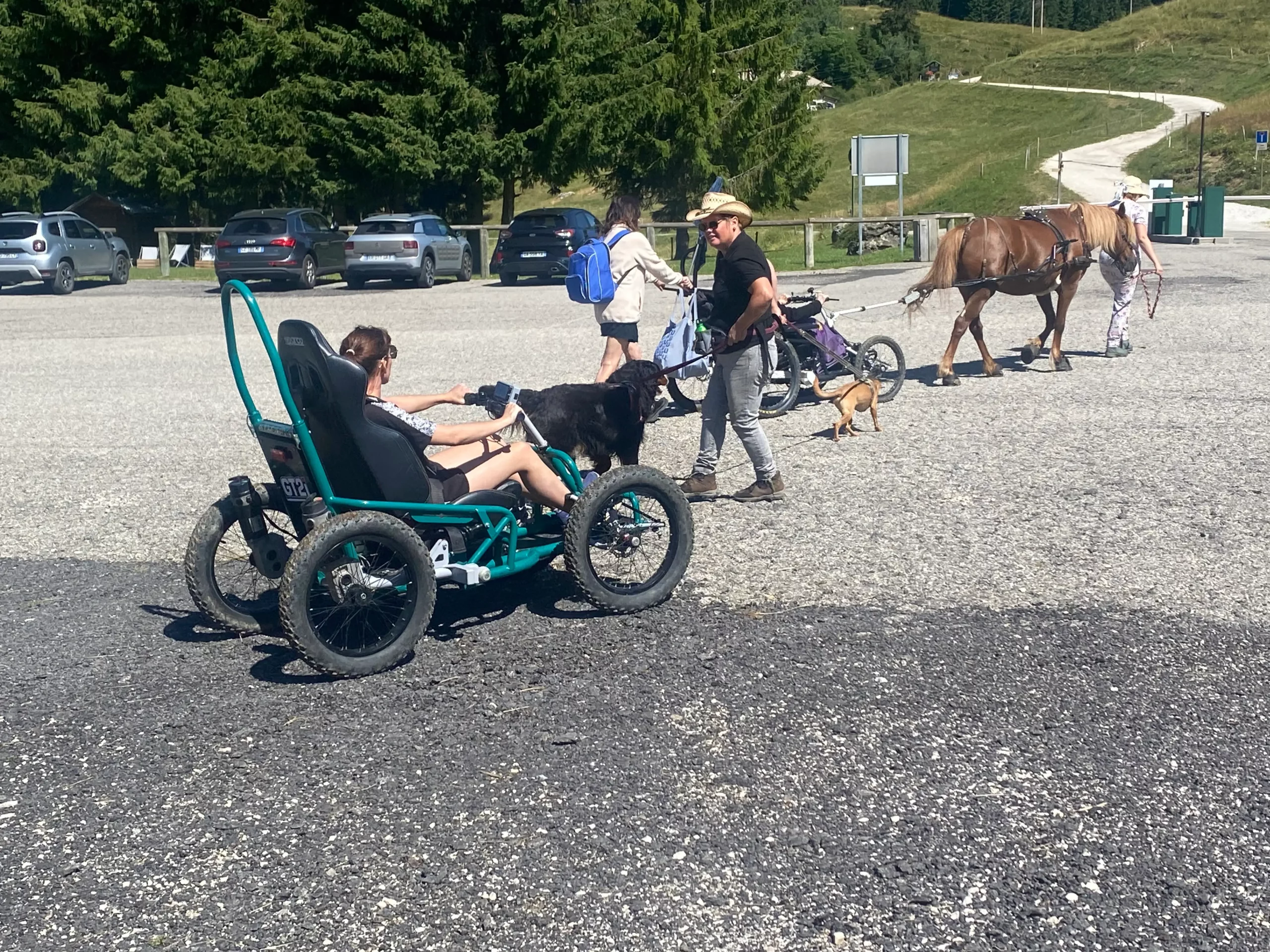 une utilisatrice dans le cariane tracté par un poney acconpagné d'un Quadrix